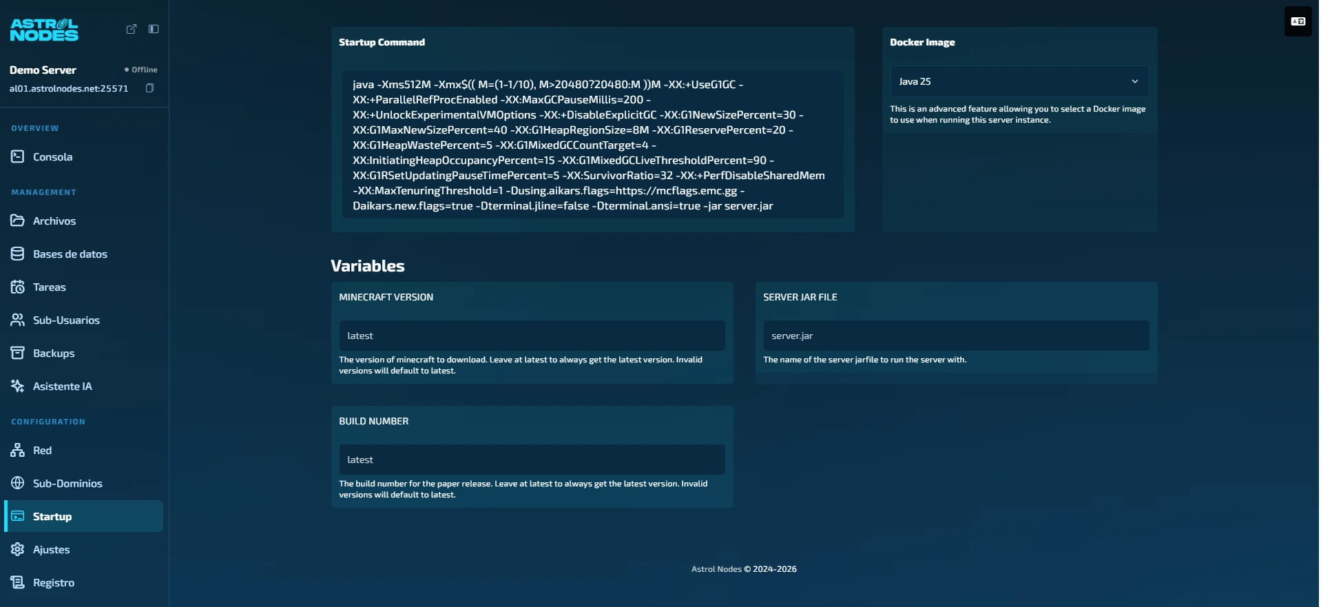 The Docker Image dropdown in the Startup tab, where you pick the Java version