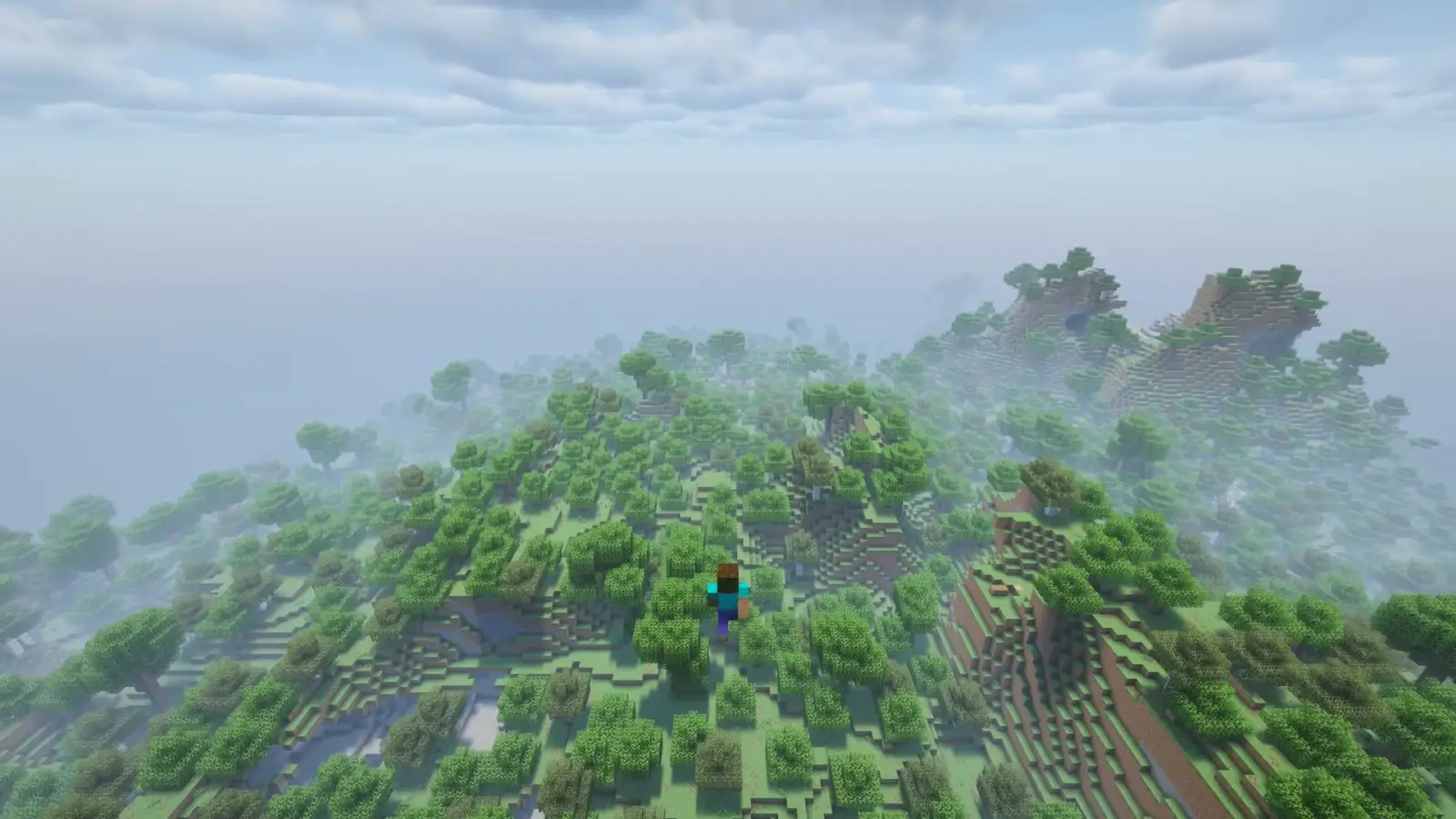 ¿Cuánto cuesta un servidor de Minecraft al mes?